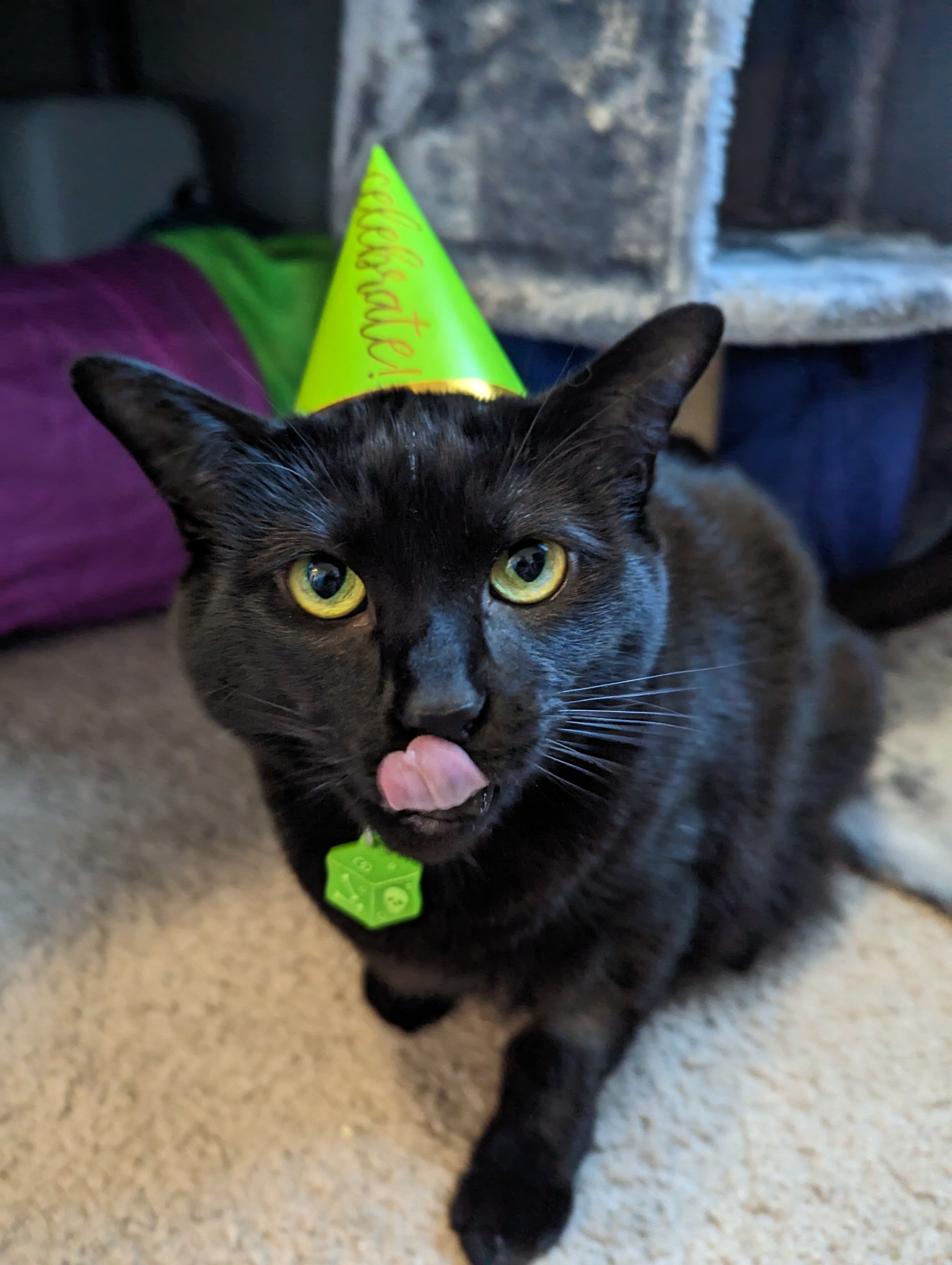 A black cat wearing a green party hat licking her lips