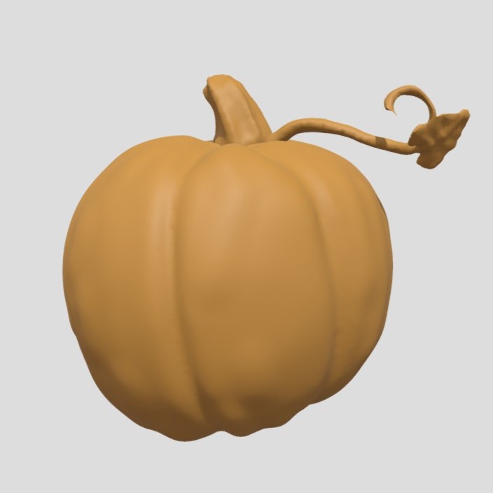 A model of a pumpkin with a leaf on a vine